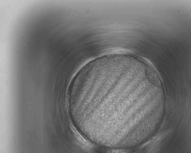 X0000080100835200612221736