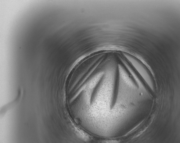 X0000080100837200612221736