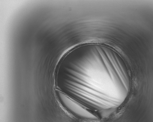 X0000080100838200612221736