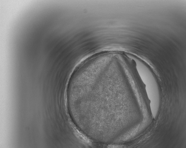 X0000080100840200612221736