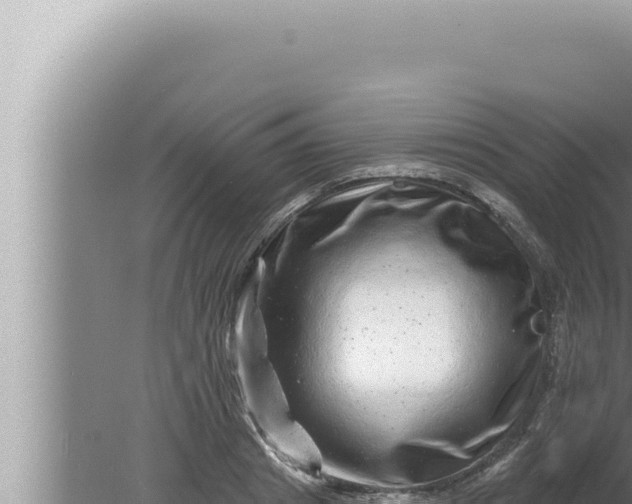 X0000080100841200612221736