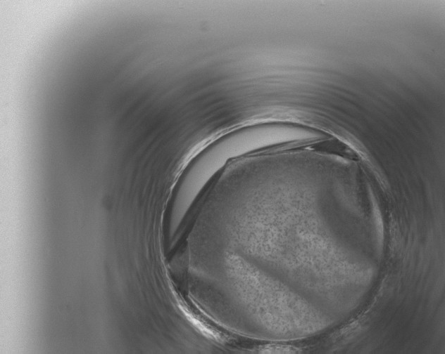 X0000080100842200612221736