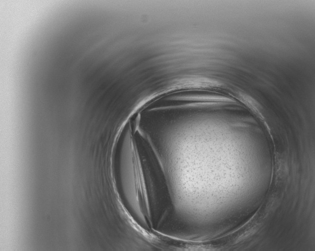 X0000080100843200612221737