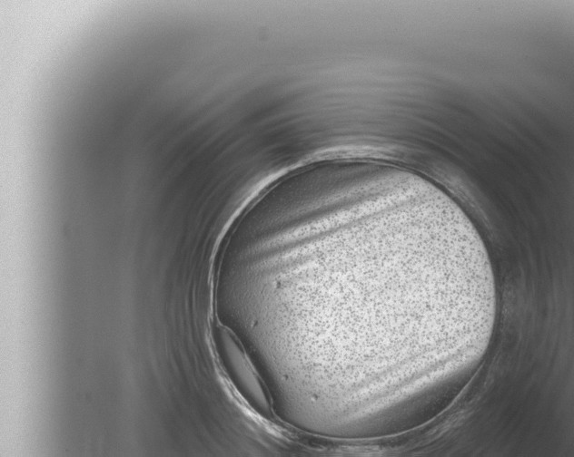 X0000080100844200612221737