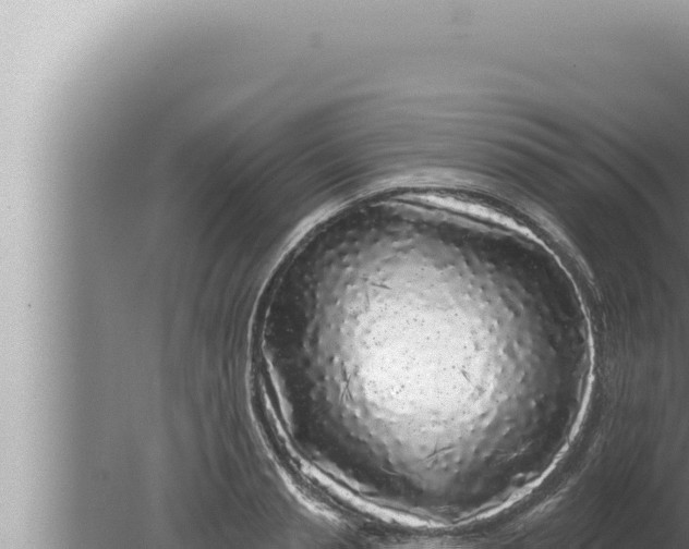 X0000080100845200612221737