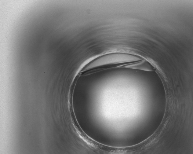 X0000080100846200612221737