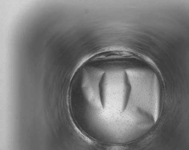 X0000080100847200612221737