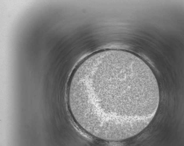 X0000080100848200612221737