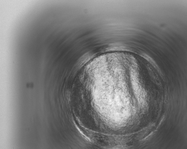 X0000080100849200612221737