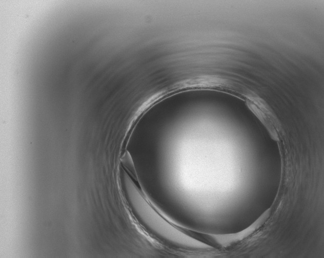 X0000080100850200612221737