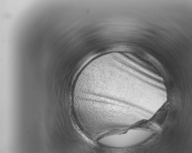 X0000080100852200612221737