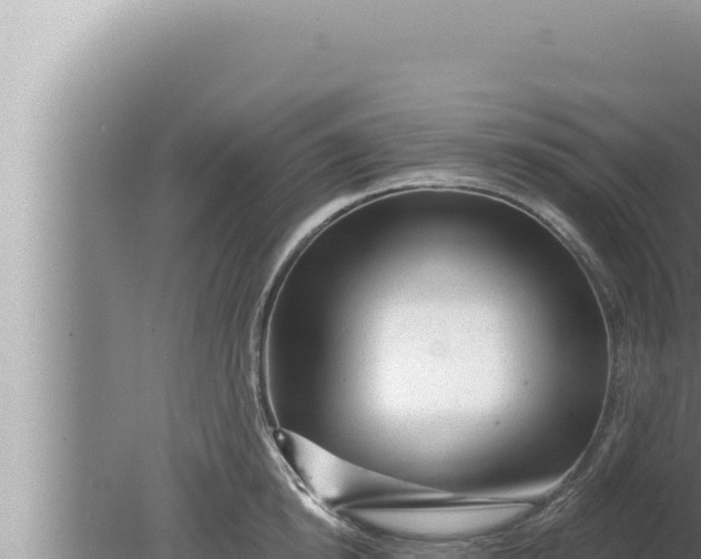 X0000080100854200612221737