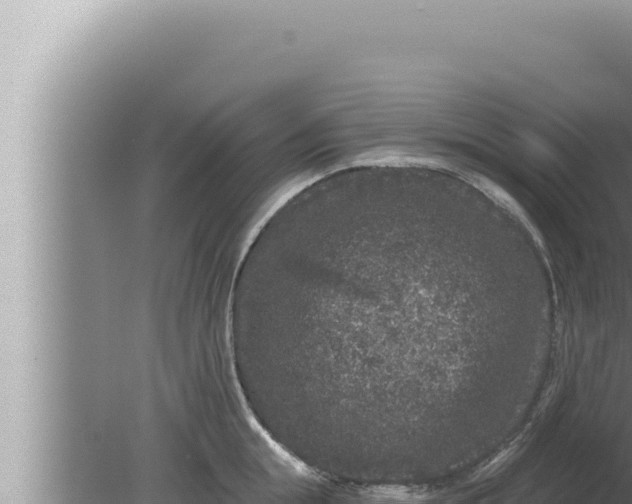 X0000080100855200612221737