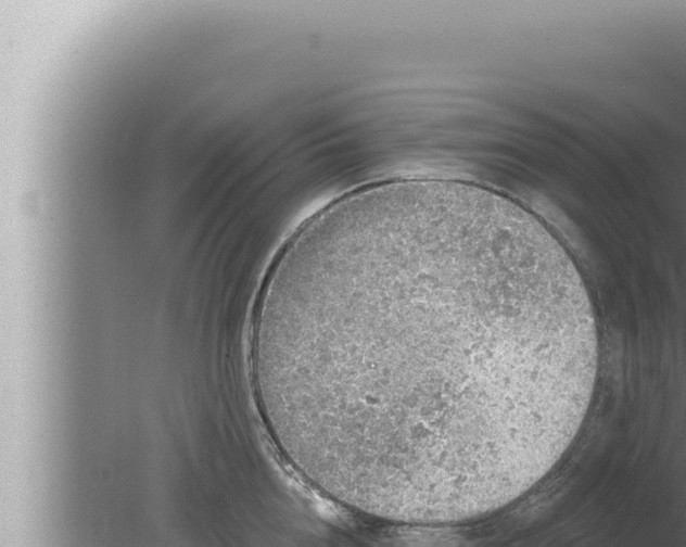 X0000080100856200612221737