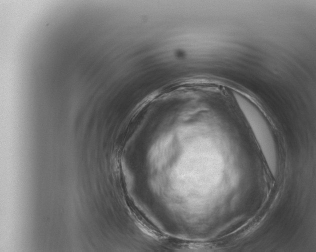 X0000080100857200612221737