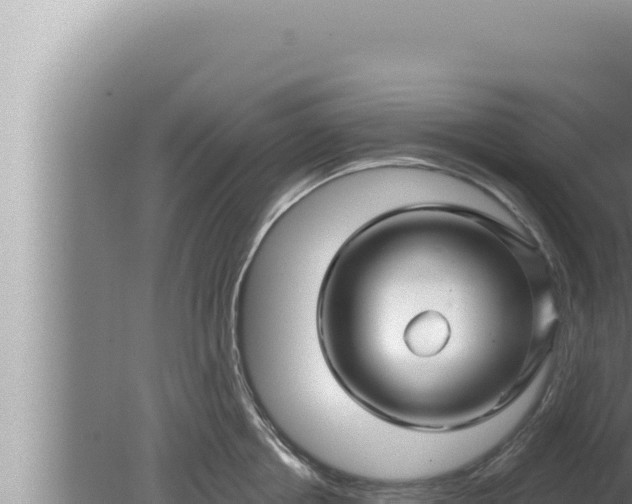 X0000080100858200612221737