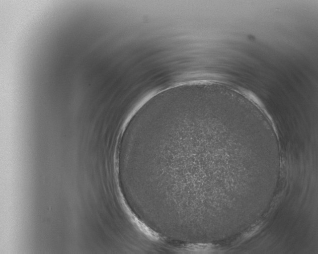 X0000080100859200612221737