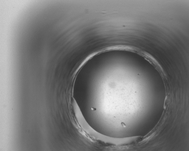 X0000080100860200612221737