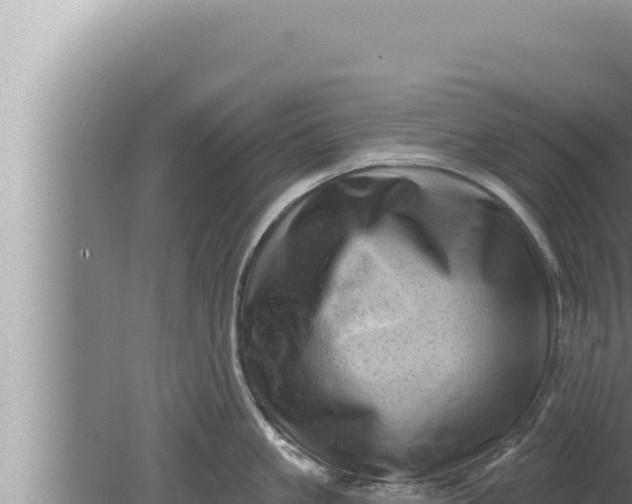 X0000080100861200612221737