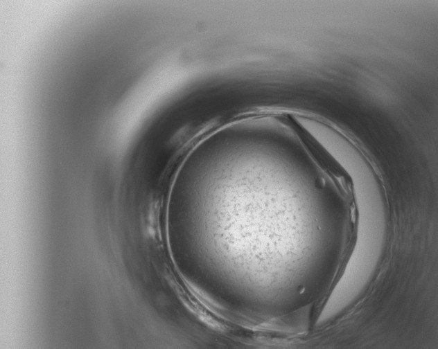 X0000080100862200612221737