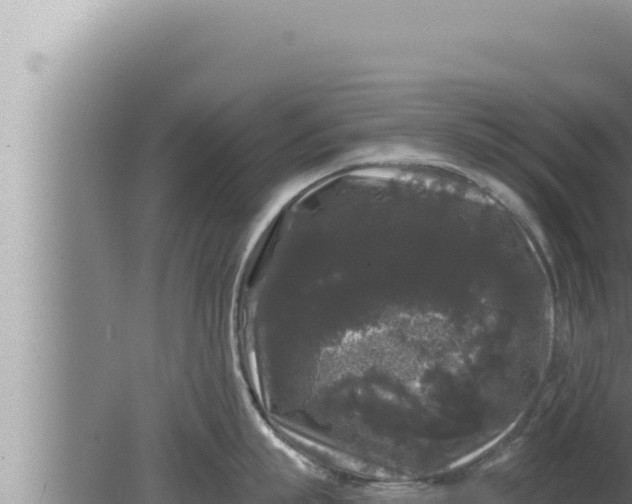 X0000080100863200612221737