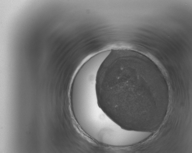 X0000080100864200612221737