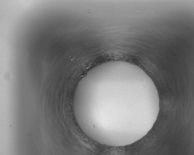 X0000080100865200612221736