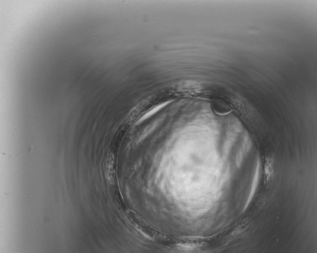 X0000080100867200612221736