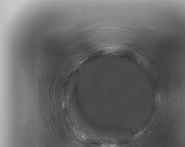 X0000080100868200612221736