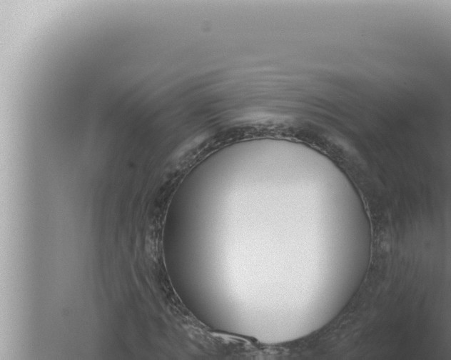 X0000080100869200612221736