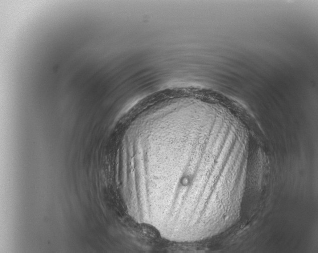 X0000080100871200612221736