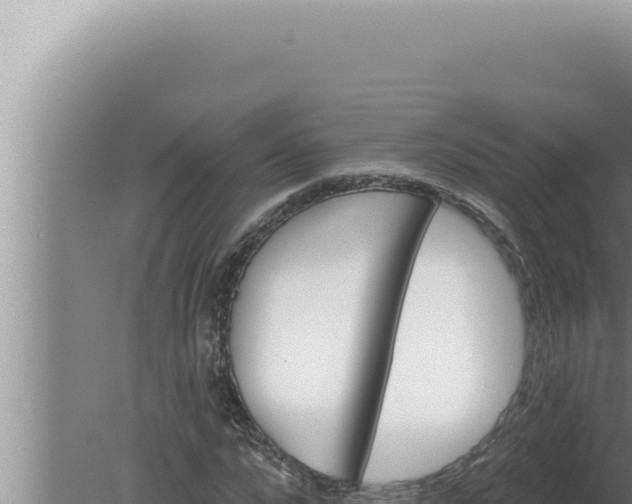 X0000080100872200612221736