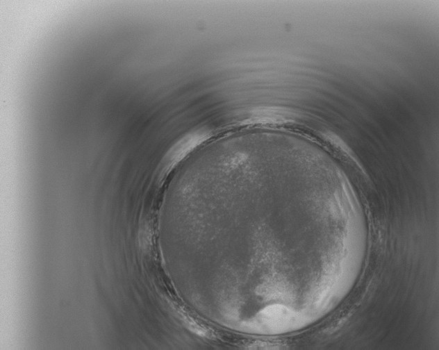 X0000080100874200612221736