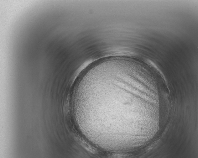 X0000080100875200612221736