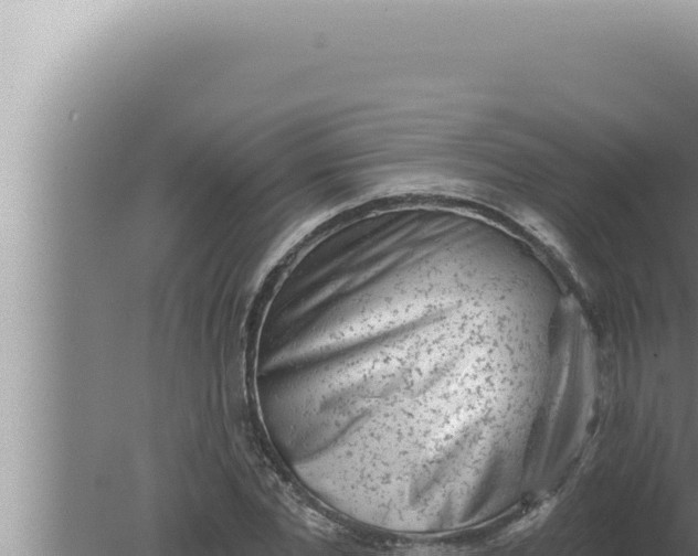 X0000080100877200612221736