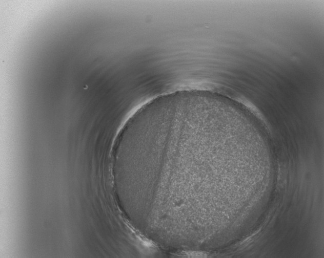 X0000080100878200612221736