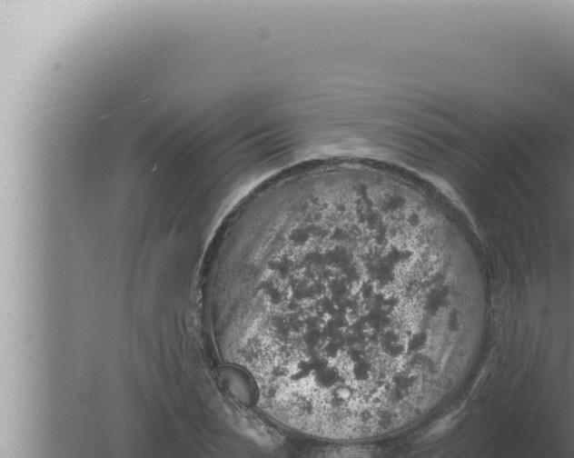 X0000080100879200612221736