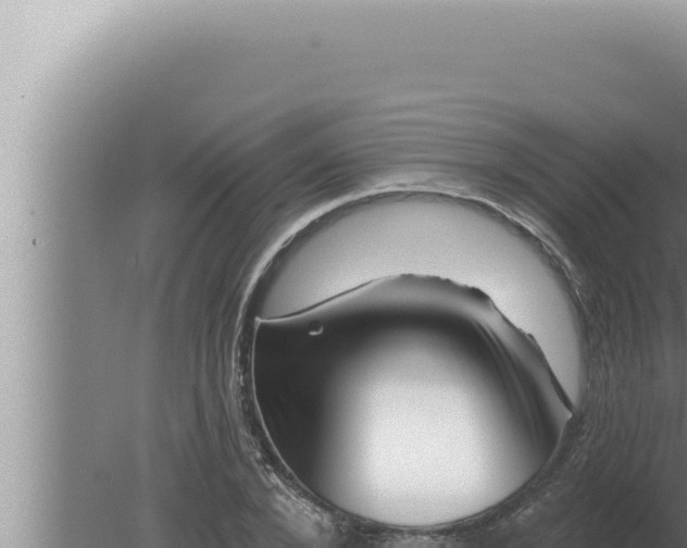 X0000080100880200612221736