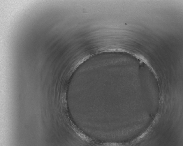 X0000080100881200612221736