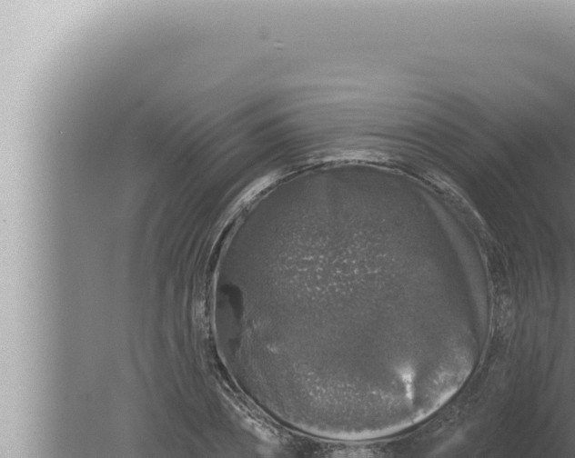 X0000080100882200612221736