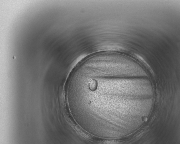 X0000080100883200612221736