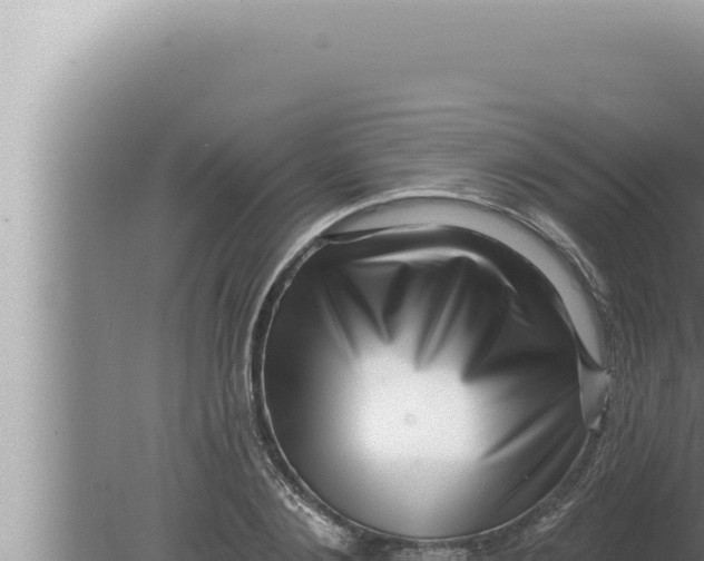 X0000080100884200612221736