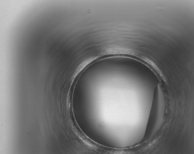 X0000080100885200612221736