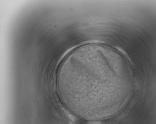 X0000080100886200612221736