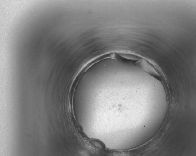 X0000080100887200612221736