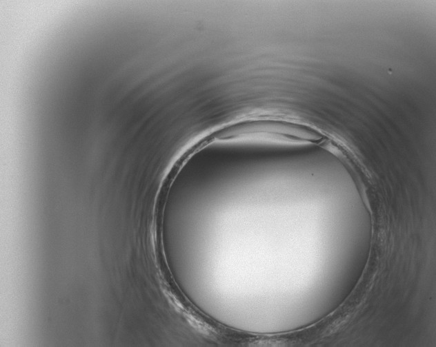 X0000080100888200612221736