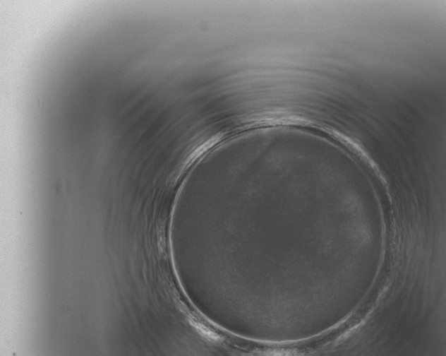 X0000080100889200612221736