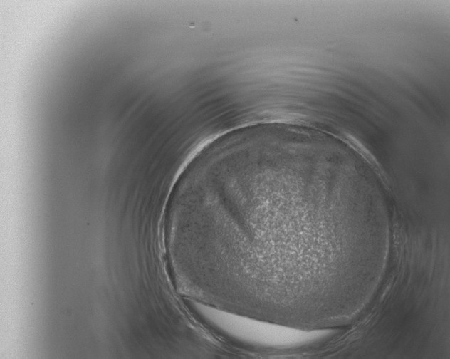 X0000080100891200612221736