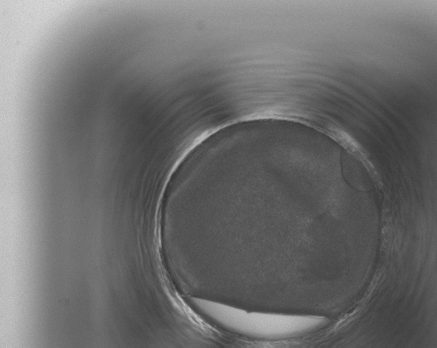 X0000080100892200612221736