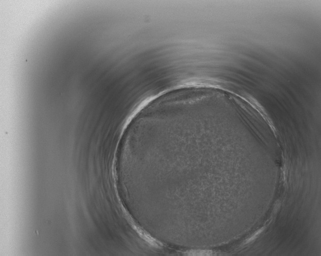 X0000080100893200612221736